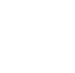 Crown Lynn Kiwi